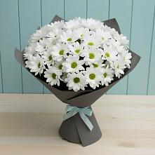 Букет цветов из:  Хризантемы в Березово Воронежской области