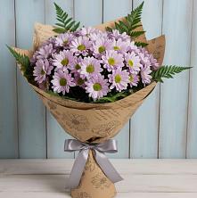 Букет цветов из:  Хризантемы в Березово Воронежской области