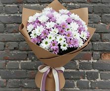 Букет цветов из:  Хризантемы в Березово Воронежской области