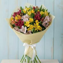 Букет цветов из:  Альстромерии #REPLACE_PRED# Березово Воронежской области