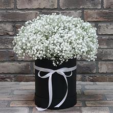 Цветочная композиция из Гипсофила в шляпной коробке в Березово Воронежской области