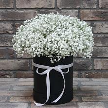 Цветочная композиция из Гипсофила в шляпной коробке в Березово Воронежской области